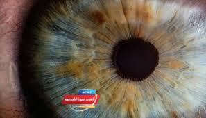 العين تكشف أسرار القلب والعمر البيولوجي