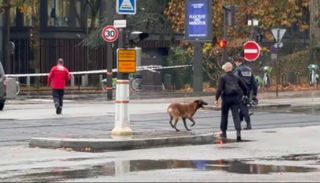 باريس.. إنذار بقنبلة في محطة تلفزيونية يؤدي لإخلاء المبنى وقطع البث