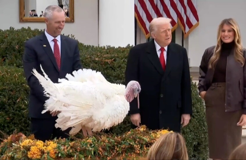 ترامب يعلن العفو عن ديكي عيد الشكر “غوبل” و”وادل” في مراسم سنوية مليئة بالبهجة والرمزية»