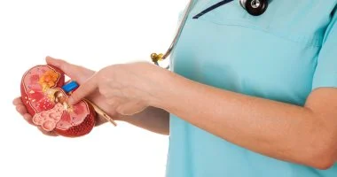 ليست “قلة الماء” فقط — أسباب متعددة تؤدي إلى حصوات الكلى