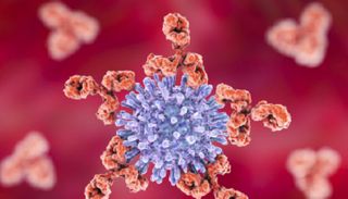 فيروسات شبيهة بشلل الأطفال تثير القلق في العراق — علماء يكشفون أسرارها