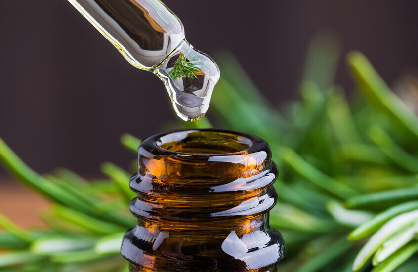 دراسة: مستخلص إكليل الجبل يخفف التهاب الدماغ المرتبط بعلاج السرطان