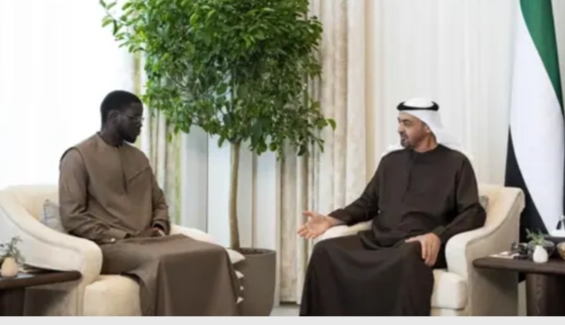 محمدبن زايد والرئيس السنغالي يبحثان علاقات البلدين