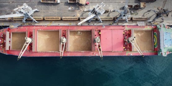 سوريا تعيد تشغيل قطار الحبوب من مرفأ اللاذقية بعد 15 عاماً