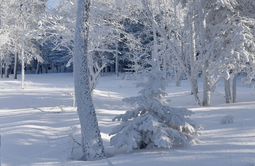 فرنسا.. مصرع 3 متزلجين في انهيار كتلة ثلجية بمنتجع “فال ديزير”