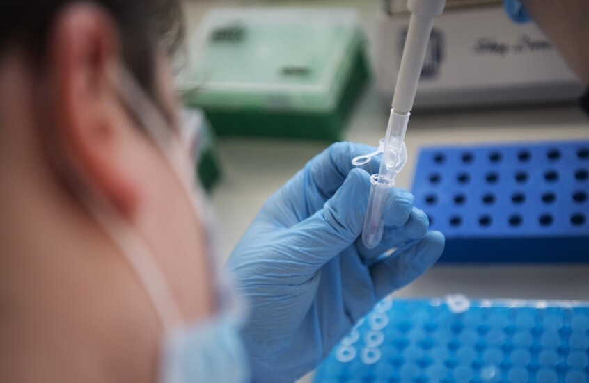 روسيا تطوّر لقاحات مبتكرة لمكافحة حساسية حبوب اللقاح