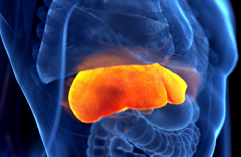 أداة جديدة تكشف السبب الخفي لأمراض الكبد عبر تحاليل الدم