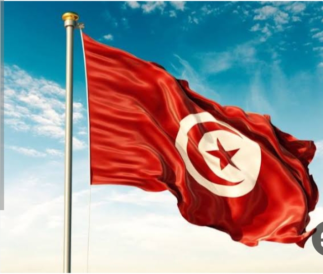 تونس تؤمن العودة الطوعية لـ309 مهاجرين من غينيا وكوت ديفوار