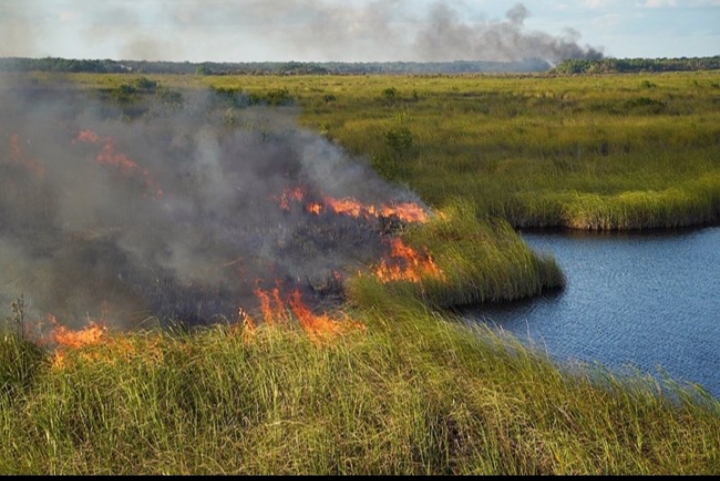 حريق هائل يندلع في غابات منتزه “إيفرجليدز” الوطني بولاية فلوريدا