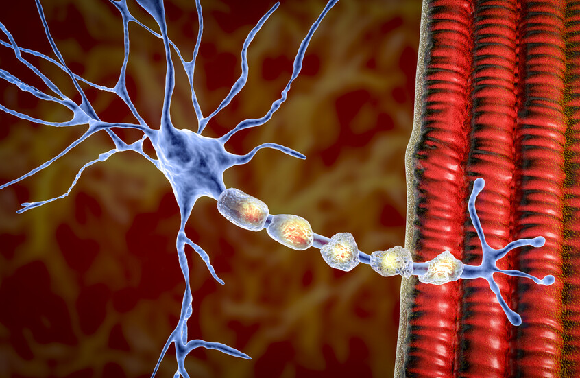 اكتشاف ياباني يفتح باب علاج مرض عصبي نادر للرجال
