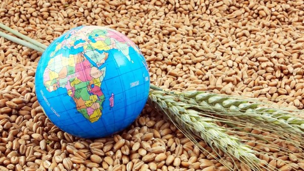 أكبر منتج عالمي للأسمدة يحذر من أزمة غذاء عالمية إذا طال أمد الحرب مع إيران