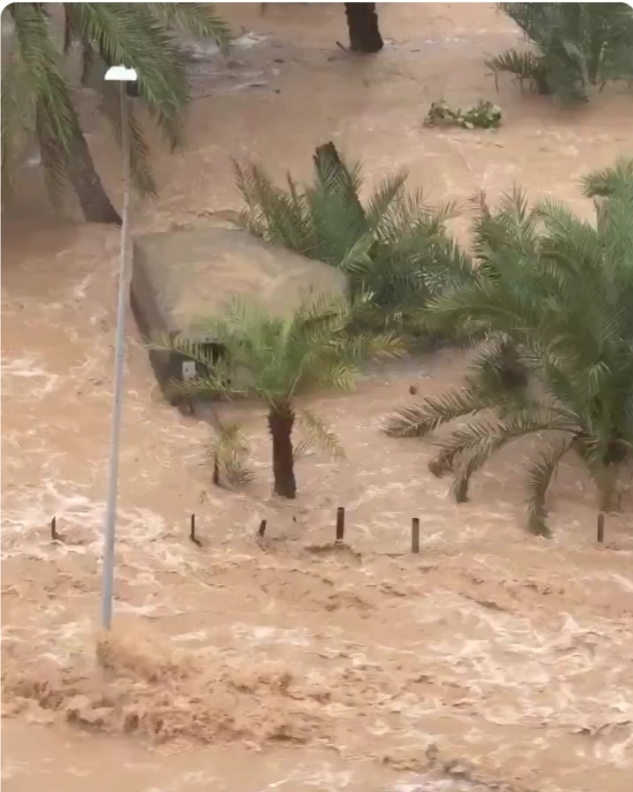 رويترز: سيول جارفة تضرب سلطنة عُمان وتخلّف أضرارًا وخسائر بشرية بسبب اضطرابات جوية