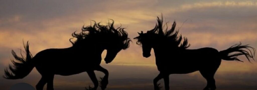 الحرية تحت إطار الانحلال