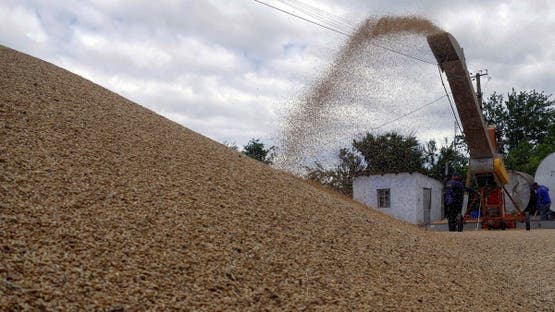 الأردن يشتري 50 ألف طن شعير في مناقصة دولية