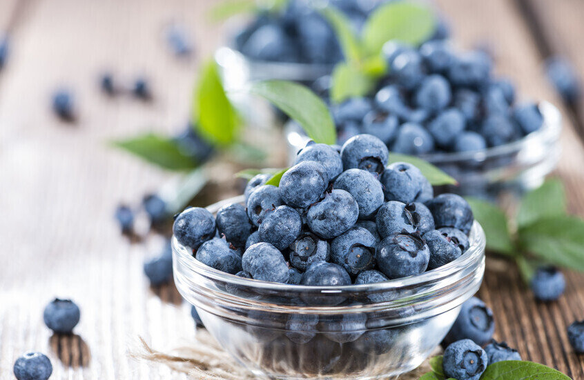 التوت الأزرق يعزز توازن السكر ويحسن ميكروبات الأمعاء