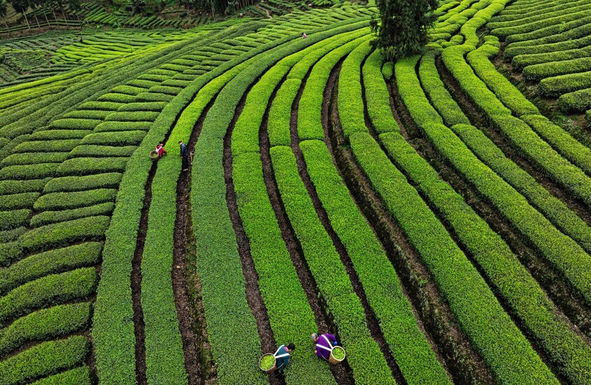 الصين تحقق نمواً اقتصادياً يفوق التوقعات