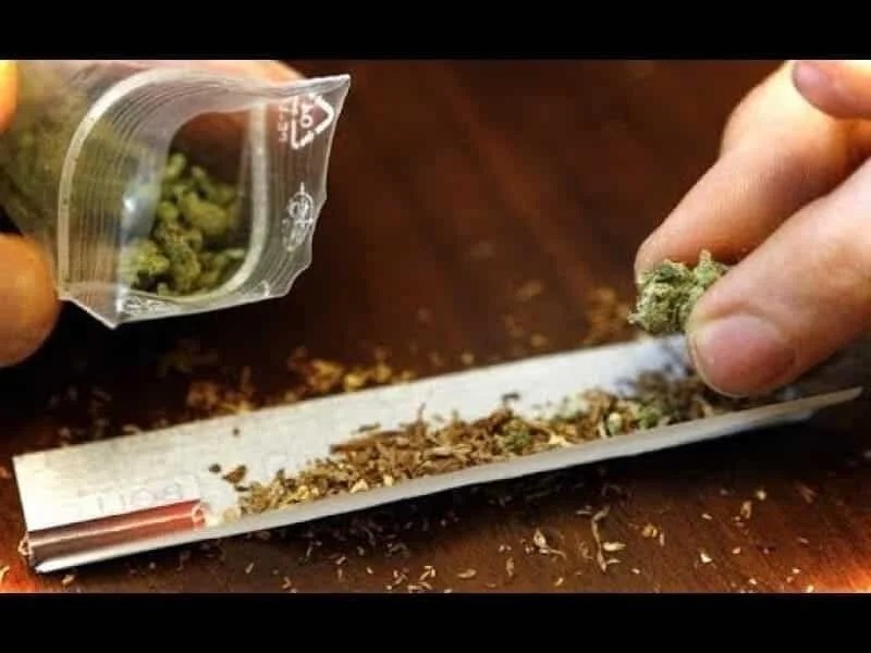 مصر: تضبط شحنة “فودو” فتاك بمطار الغردقة.. تفوق الحشيش بمئات المرات