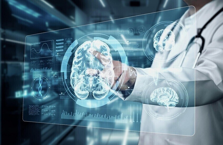 دراسة حديثة: الأطعمة الدهنية قد تُسرّع انكماش الدماغ مع التقدم في العمر