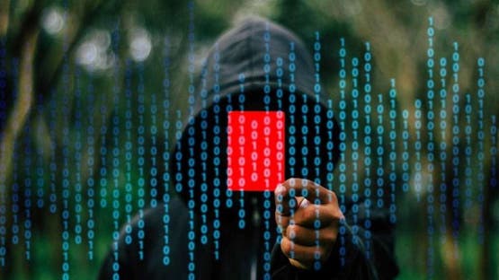 ثغرات خطيرة تهدد آلاف المواقع الحكومية والمستشفيات في بولندا